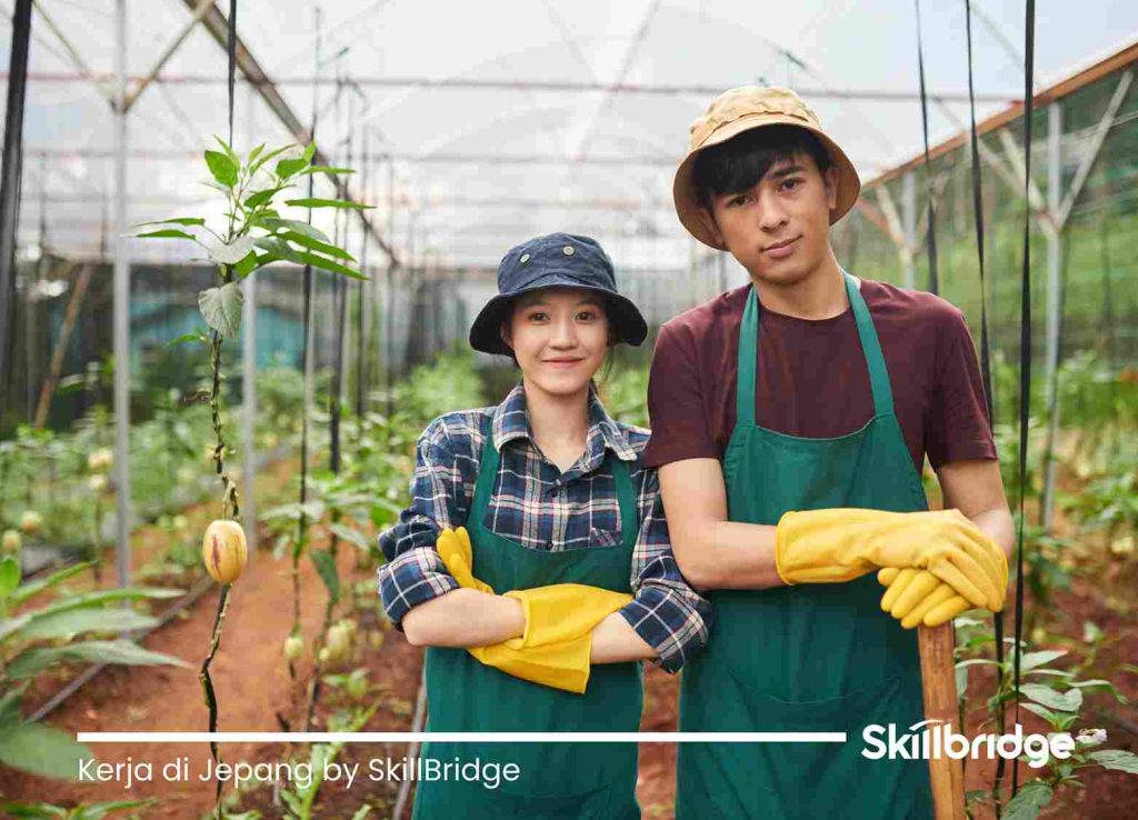 pekerjaan-di-jepang-dan-gajinya
kerja-di-jepang-by-skillbridge