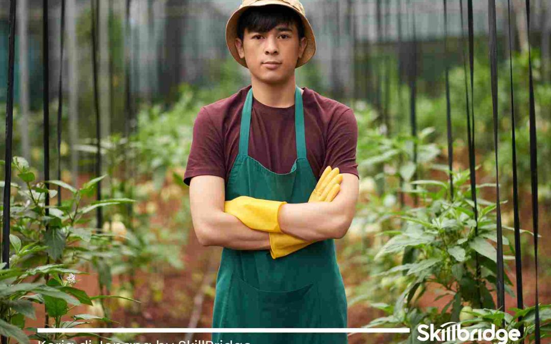 kerja-di-jepang-by-skillbridge